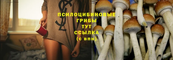 молекула духа Баксан