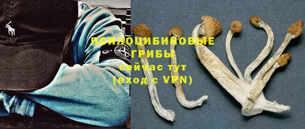 молекула духа Баксан