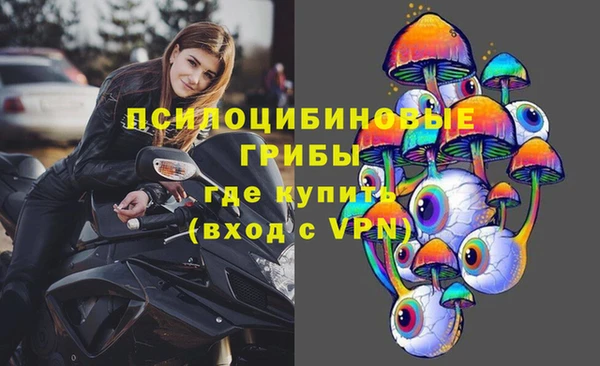 ПСИЛОЦИБИНОВЫЕ ГРИБЫ Балабаново