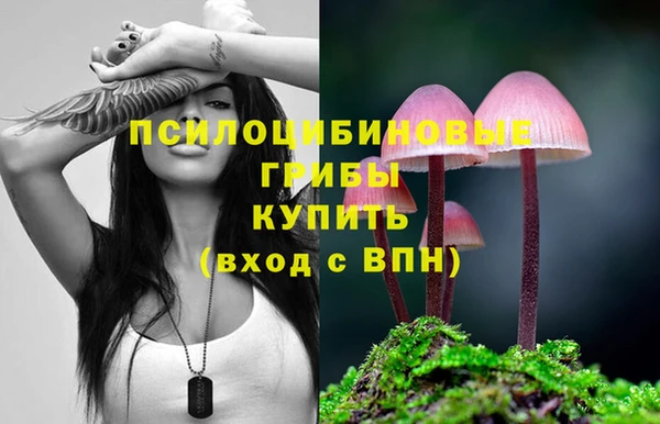 Альфа ПВП Балахна