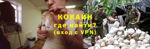ПСИЛОЦИБИНОВЫЕ ГРИБЫ Балабаново